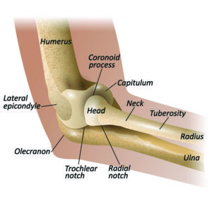 elbow fractures
