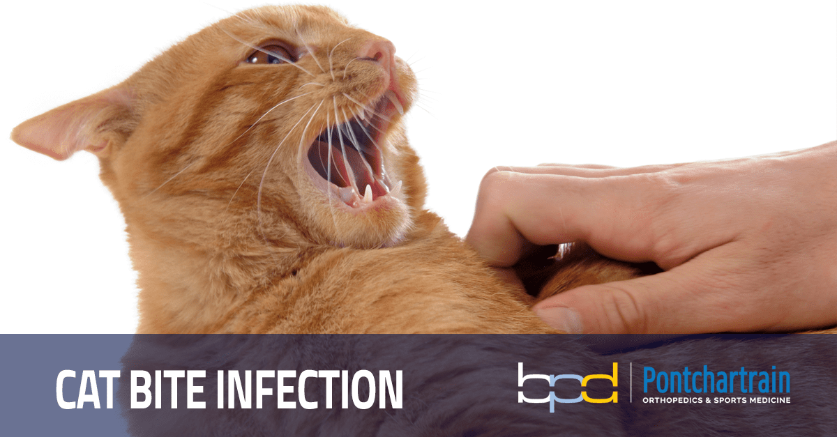 Cat Bite Infection